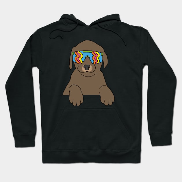 Chocolate Labrador puppy Dog wearing 80's skiing sunglasses Hoodie by Captain-Jackson